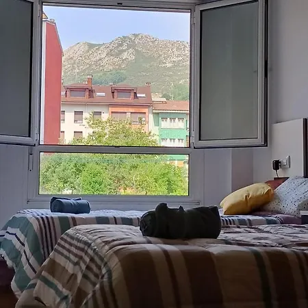 Apt. Descenso Del Sella, 아리온다스